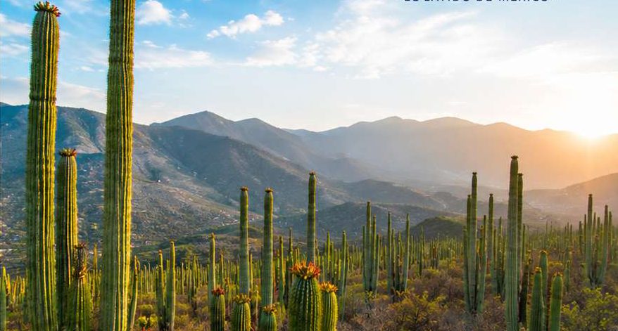 Paisaje de la Mixteca poblana